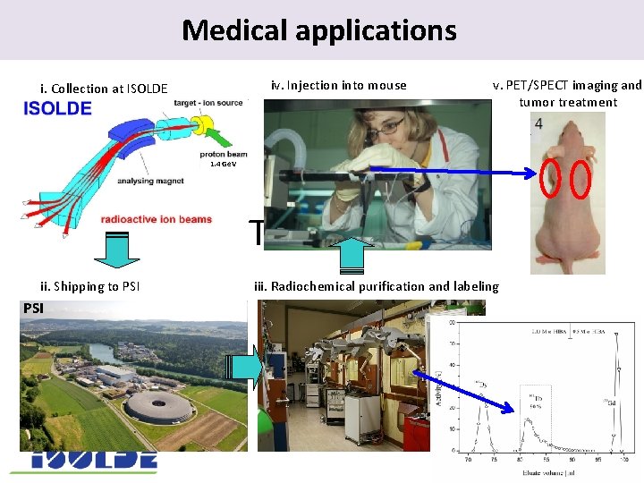 Medical applications. iv. Injection into mouse i. Collection at ISOLDE v. PET/SPECT imaging and