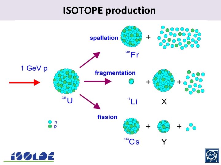 ISOTOPE production. 