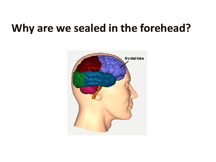 Why are we sealed in the forehead? 