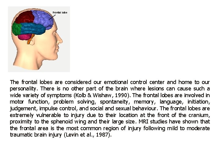 The frontal lobes are considered our emotional control center and home to our personality.