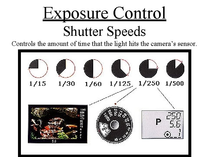 Exposure Control Shutter Speeds Controls the amount of time that the light hits the