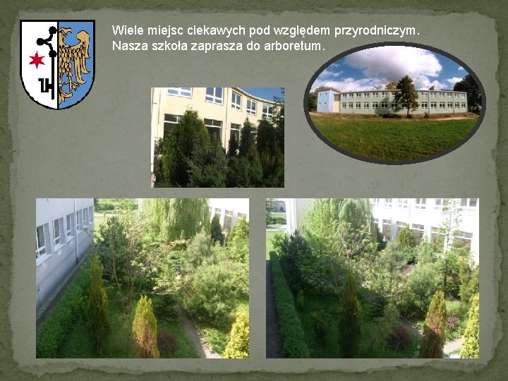 Wiele miejsc ciekawych pod względem przyrodniczym. Nasza szkoła zaprasza do arboretum. 