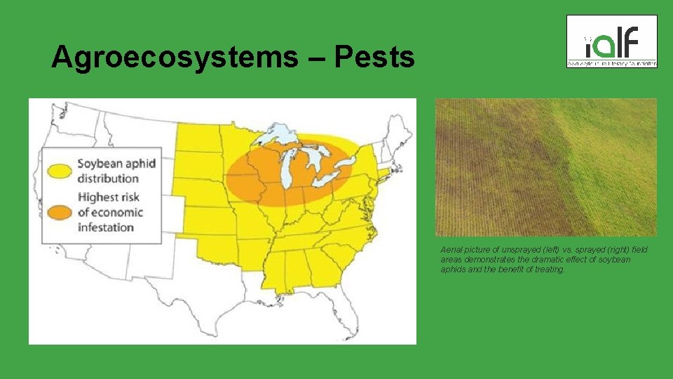 Agroecosystems – Pests Aerial picture of unsprayed (left) vs. sprayed (right) field areas demonstrates