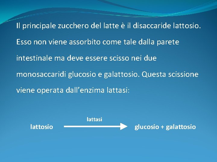 Il principale zucchero del latte è il disaccaride lattosio. Esso non viene assorbito come Il principale zucchero del latte è il disaccaride lattosio. Esso non viene assorbito come