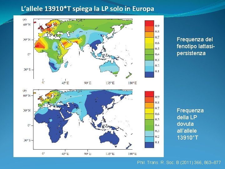 L’allele 13910*T spiega la LP solo in Europa Frequenza del fenotipo lattasipersistenza Frequenza della L’allele 13910*T spiega la LP solo in Europa Frequenza del fenotipo lattasipersistenza Frequenza della