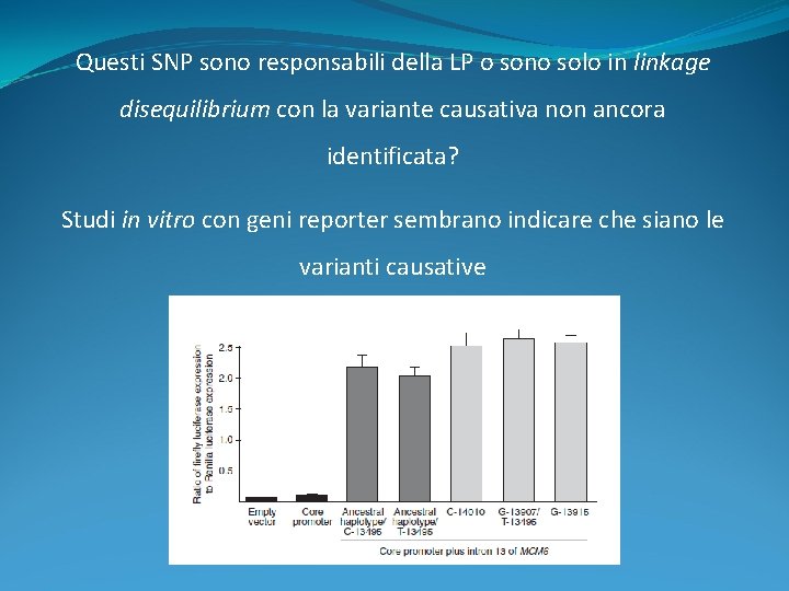 Questi SNP sono responsabili della LP o sono solo in linkage disequilibrium con la Questi SNP sono responsabili della LP o sono solo in linkage disequilibrium con la