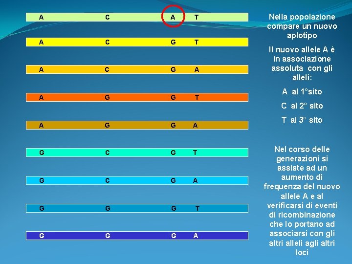 A C A T A C G A A G G T Nella popolazione A C A T A C G A A G G T Nella popolazione
