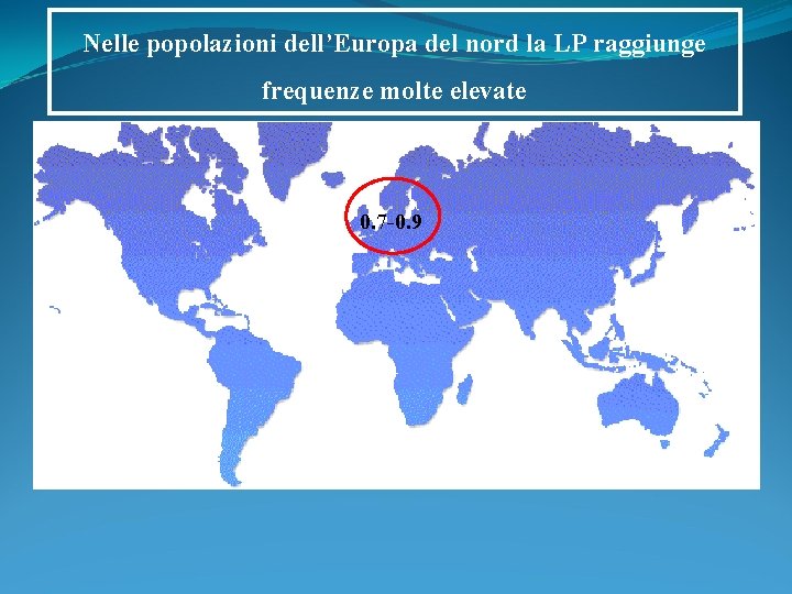 Nelle popolazioni dell’Europa del nord la LP raggiunge frequenze molte elevate 0. 7 -0. Nelle popolazioni dell’Europa del nord la LP raggiunge frequenze molte elevate 0. 7 -0.
