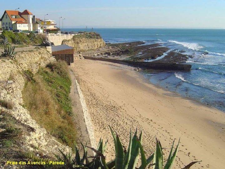 Praia das Avencas - Parede 