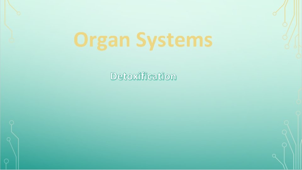 Organ Systems Detoxification 