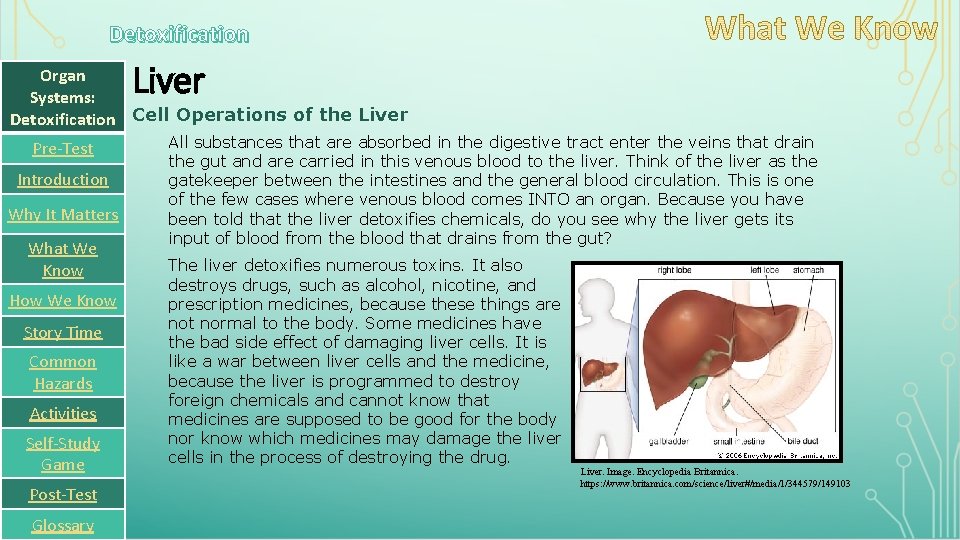 Detoxification Liver Organ Systems: Detoxification Cell Operations of the Liver Pre-Test Introduction Why It