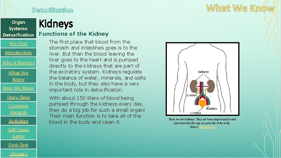 Detoxification Kidneys Organ Systems: Detoxification Functions of the Kidney Pre-Test Introduction Why It Matters