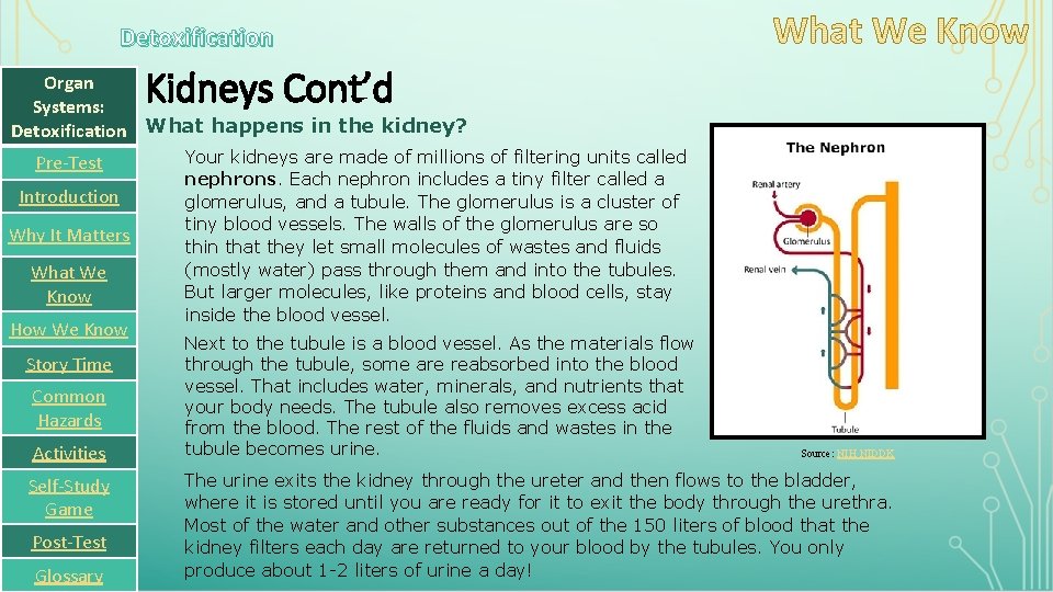 Detoxification Kidneys Cont’d Organ Systems: Detoxification What happens in the kidney? Pre-Test Introduction Why