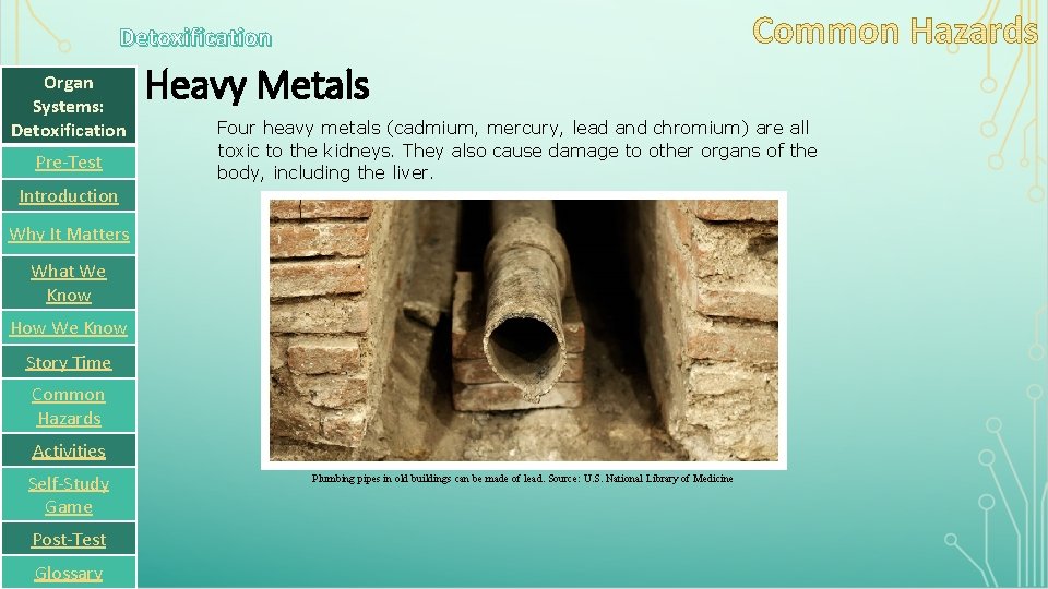 Detoxification Organ Systems: Detoxification Pre-Test Heavy Metals Four heavy metals (cadmium, mercury, lead and