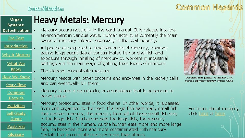 Detoxification Organ Systems: Detoxification Heavy Metals: Mercury Pre-Test Introduction Why It Matters What We
