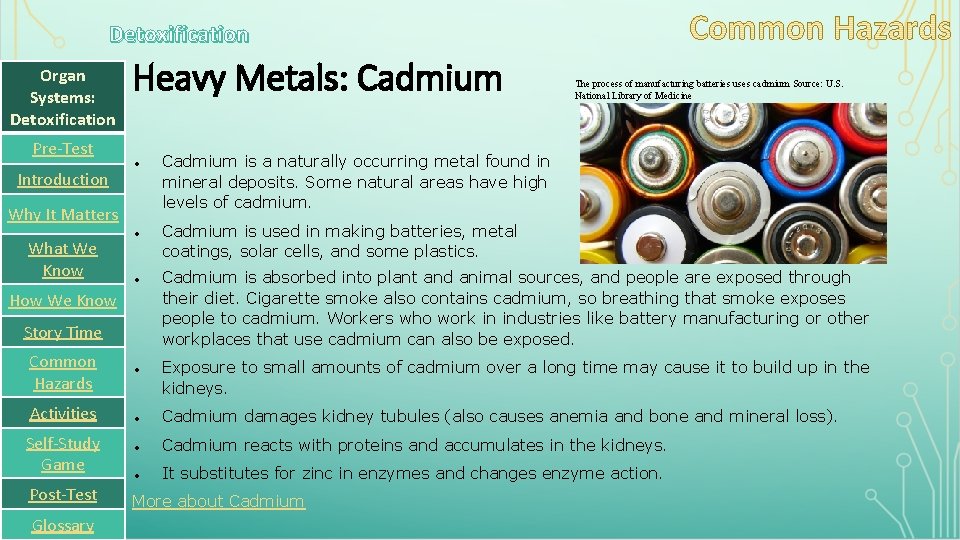 Detoxification Organ Systems: Detoxification Pre-Test Introduction Heavy Metals: Cadmium Why It Matters What We