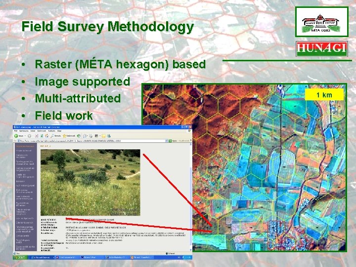 Field Survey Methodology • • Raster (MÉTA hexagon) based Image supported Multi-attributed Field work