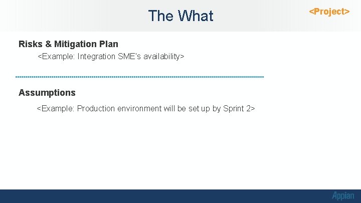 The What Risks & Mitigation Plan <Example: Integration SME’s availability> Assumptions <Example: Production environment