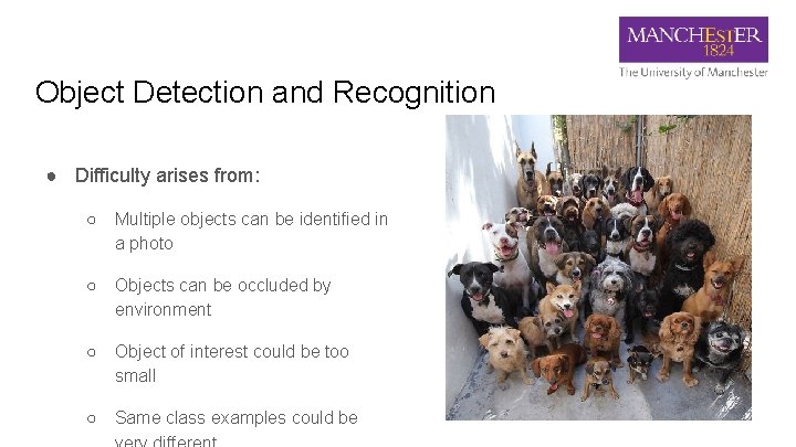 Object Detection and Recognition ● Difficulty arises from: ○ Multiple objects can be identified