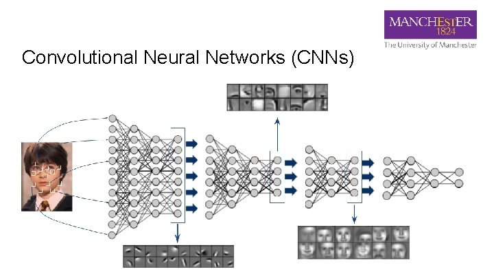 Convolutional Neural Networks (CNNs) 
