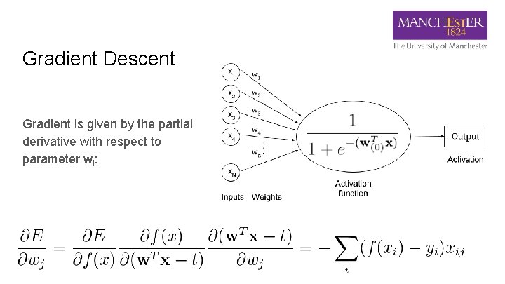 Gradient Descent Gradient is given by the partial derivative with respect to parameter wi: