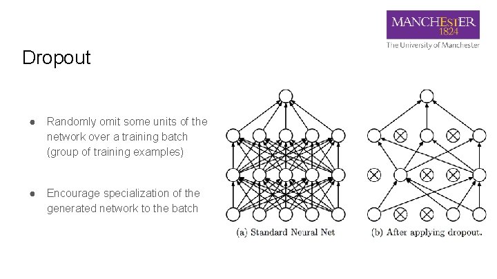 Dropout ● Randomly omit some units of the network over a training batch (group