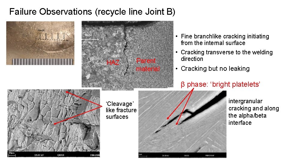 Failure Observations (recycle line Joint B) • Fine branchlike cracking initiating from the internal