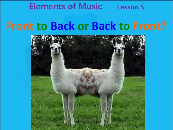 Elements of Music Lesson 5 Front to Back or Back to Front? Elements of Music Lesson 5 Front to Back or Back to Front?