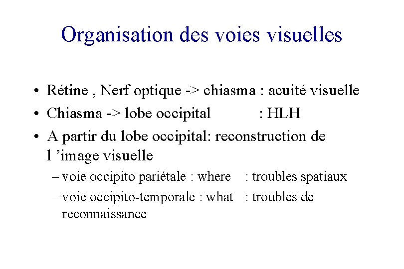 Organisation des voies visuelles • Rétine , Nerf optique -> chiasma : acuité visuelle