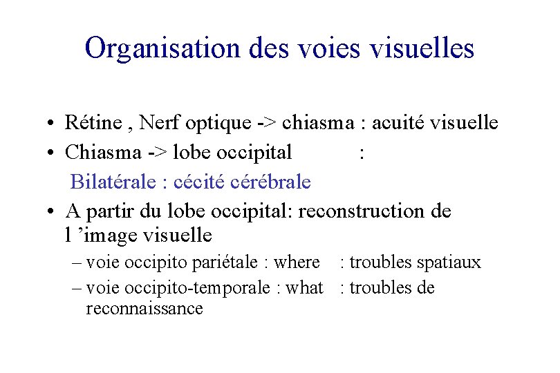 Organisation des voies visuelles • Rétine , Nerf optique -> chiasma : acuité visuelle