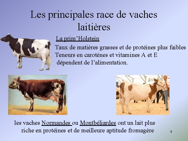 Les principales race de vaches laitières La prim’Holstein Taux de matières grasses et de Les principales race de vaches laitières La prim’Holstein Taux de matières grasses et de