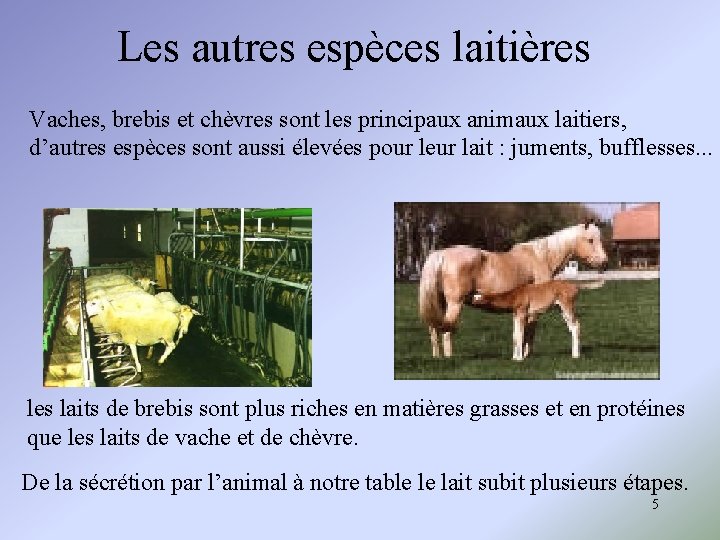 Les autres espèces laitières Vaches, brebis et chèvres sont les principaux animaux laitiers, d’autres Les autres espèces laitières Vaches, brebis et chèvres sont les principaux animaux laitiers, d’autres
