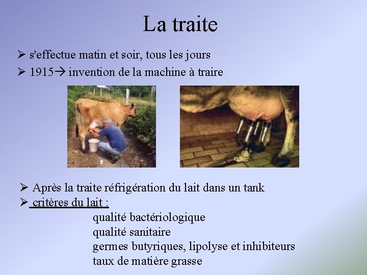 La traite s'effectue matin et soir, tous les jours 1915 invention de la machine La traite s'effectue matin et soir, tous les jours 1915 invention de la machine