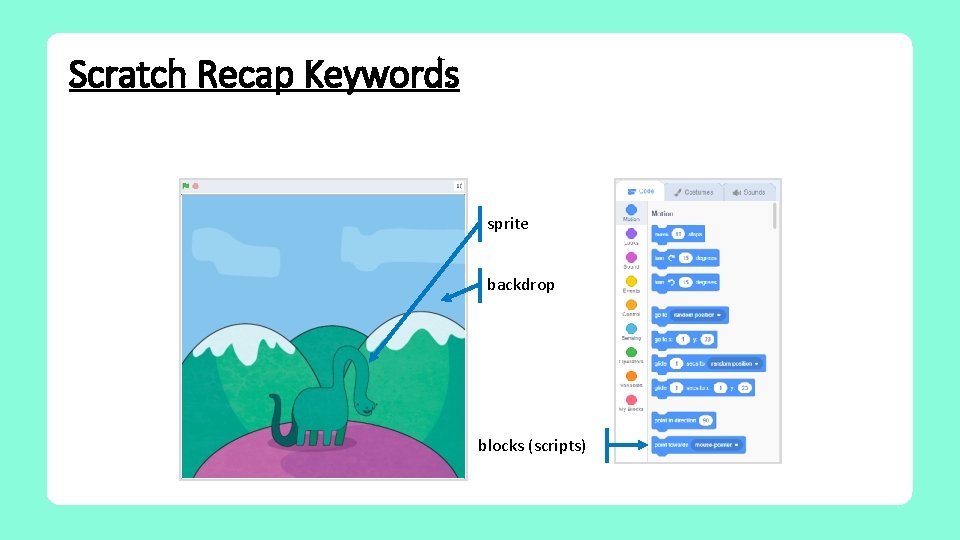 Scratch Recap Keywords sprite backdrop blocks (scripts) 