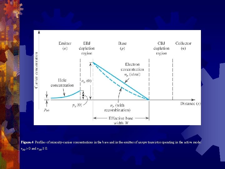 Figure. 4 Profiles of minority-carrier concentrations in the base and in the emitter of