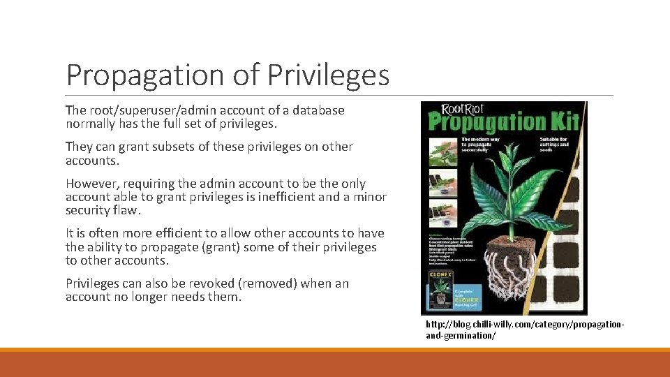 Propagation of Privileges The root/superuser/admin account of a database normally has the full set