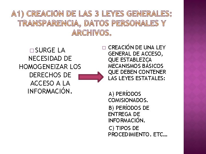 � SURGE LA NECESIDAD DE HOMOGENEIZAR LOS DERECHOS DE ACCESO A LA INFORMACIÓN. �