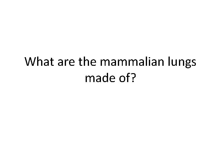 What are the mammalian lungs made of? 