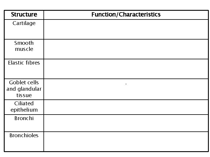 Structure Function/Characteristics Cartilage Smooth muscle Elastic fibres Goblet cells and glandular tissue Ciliated epithelium