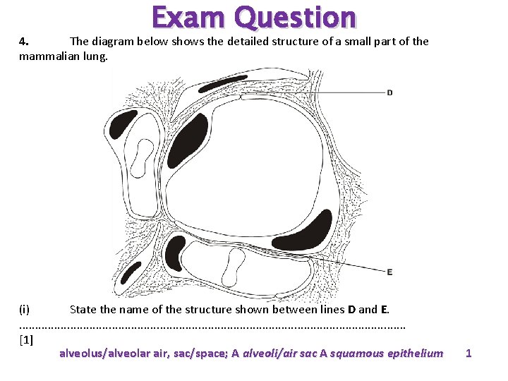 Exam Question 4. The diagram below shows the detailed structure of a small part