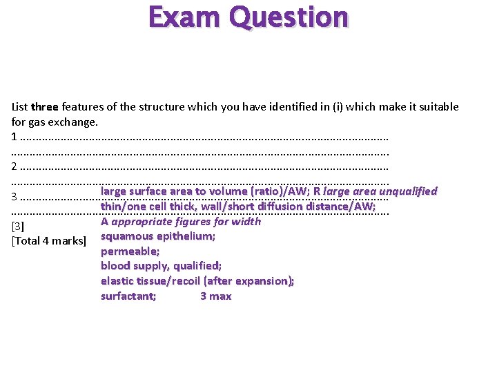 Exam Question List three features of the structure which you have identified in (i)