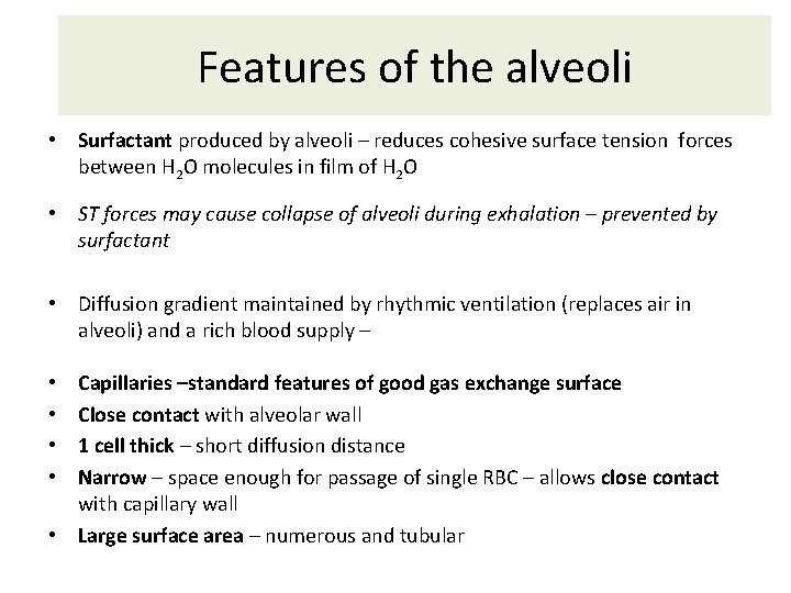 Features of the alveoli • Surfactant produced by alveoli – reduces cohesive surface tension