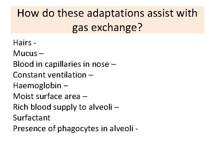 How do these adaptations assist with gas exchange? Hairs Mucus – Blood in capillaries