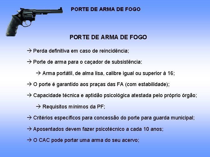 PORTE DE ARMA DE FOGO Perda definitiva em caso de reincidência; Porte de arma PORTE DE ARMA DE FOGO Perda definitiva em caso de reincidência; Porte de arma