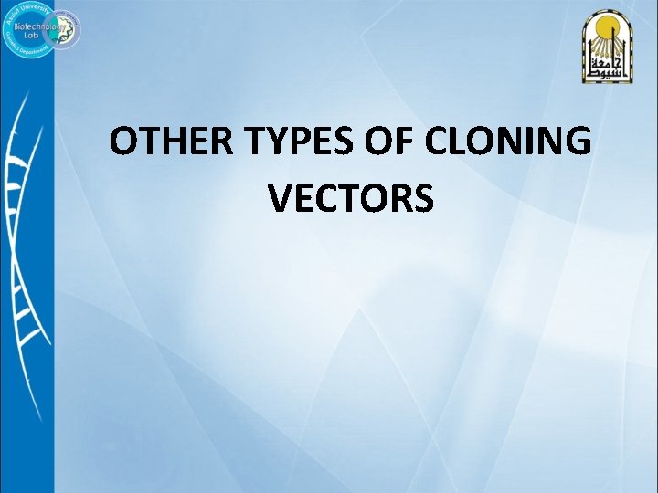 OTHER TYPES OF CLONING VECTORS 