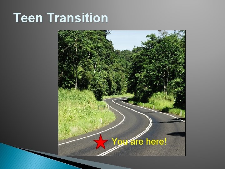 Teen Transition You are here! 