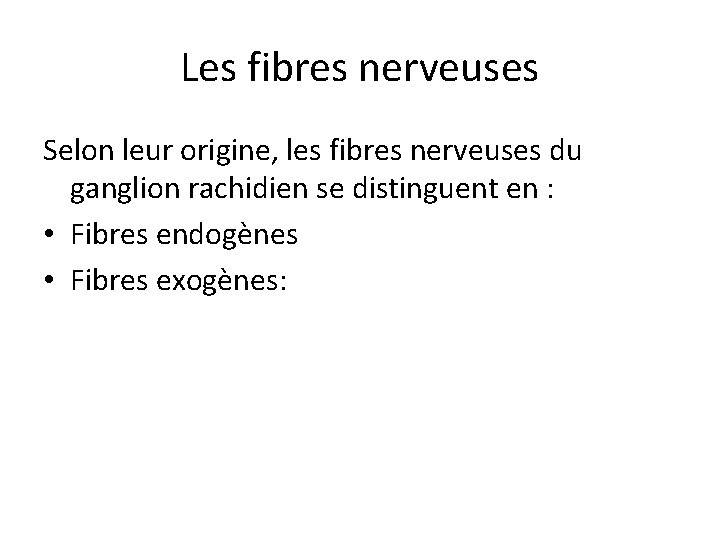 Les fibres nerveuses Selon leur origine, les fibres nerveuses du ganglion rachidien se distinguent