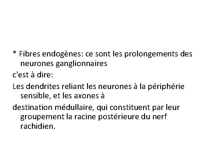 * Fibres endogènes: ce sont les prolongements des neurones ganglionnaires c'est à dire: Les