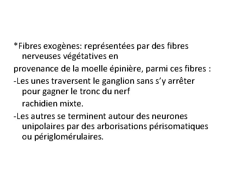 *Fibres exogènes: représentées par des fibres nerveuses végétatives en provenance de la moelle épinière,