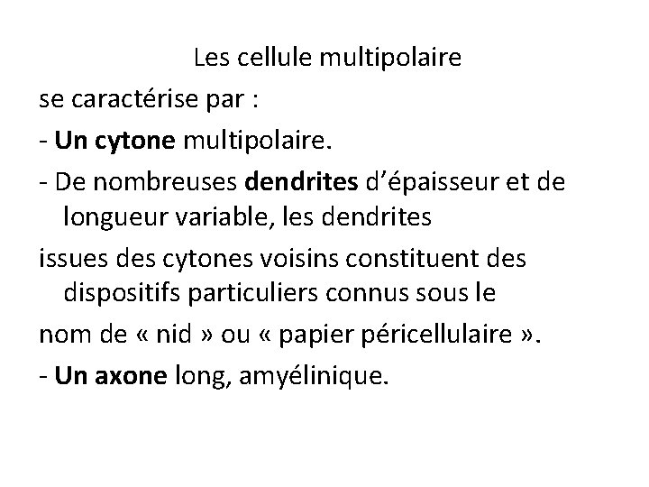 Les cellule multipolaire se caractérise par : - Un cytone multipolaire. - De nombreuses